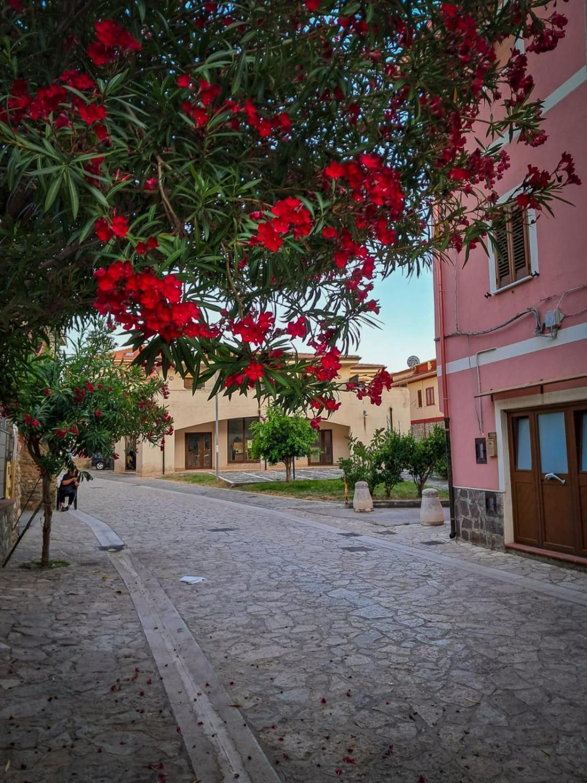Appartamento La Coffa Agnone Cilento Exterior foto